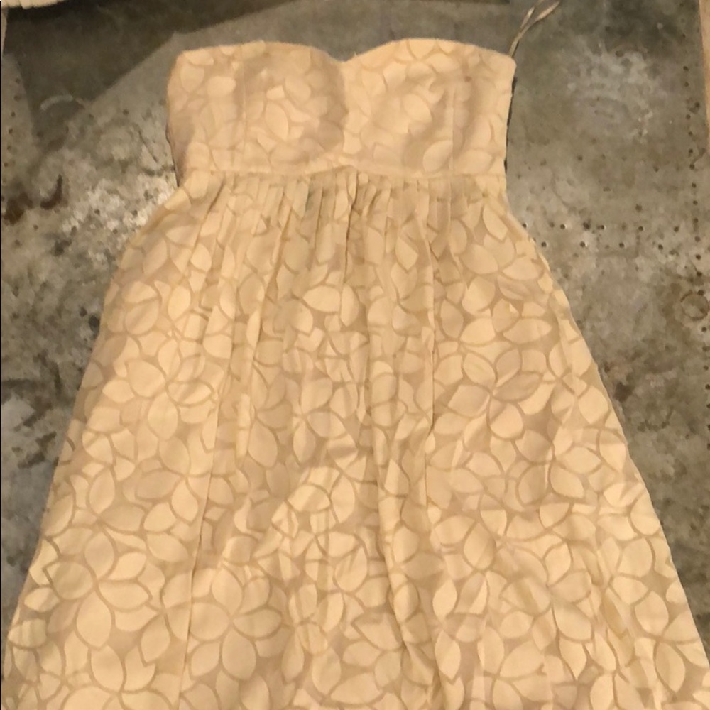 TIBI Blush Strapless Floral overlay Dress